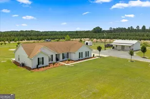 491 Pecan Rd, Cobb, GA 31735 - Photo 76