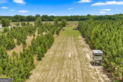 491 Pecan Rd., Cobb, GA 31735 - Photo 66