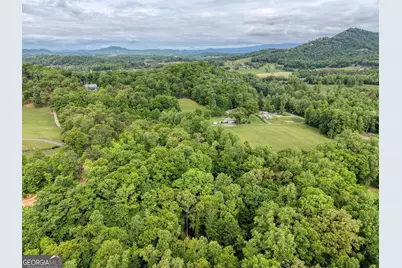 1568 Carlvin Road, Hiawassee, GA 30546 - Photo 20