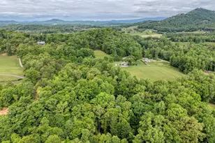 1568 Carlvin Rd, Hiawassee, GA 30546 - Photo 20