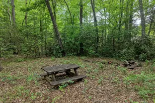 1568 Carlvin Rd, Hiawassee, GA 30546 - Photo 42