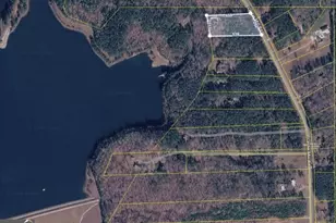 2736 Lester Mill Rd, Locust Grove, GA 30248 - Photo 30