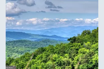 28.4 Ac Black Dog Trail, Morganton, GA 30540 - Photo 4