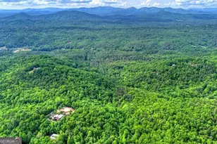 28 4 Ac Black Dog Trail, Morganton, GA 30540 - Photo 1