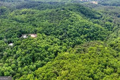28.4 Ac Black Dog Trail, Morganton, GA 30540 - Photo 6