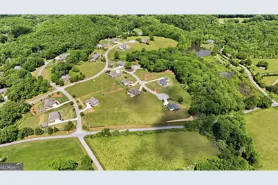 Lot 40 Meadow Run Court, Clarkesville, GA 30523 - Photo 12