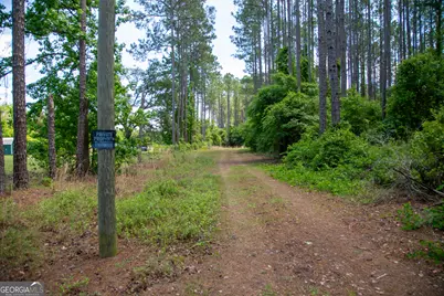1352 Old Doctortown Road, Jesup, GA 31545 - Photo 10