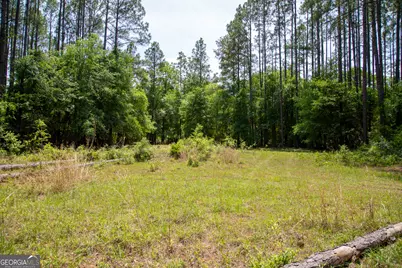 1352 Old Doctortown Road, Jesup, GA 31545 - Photo 8