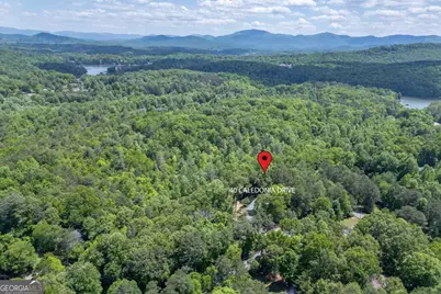 40 Caledonia Drive, Blairsville, GA 30512 - Photo 56