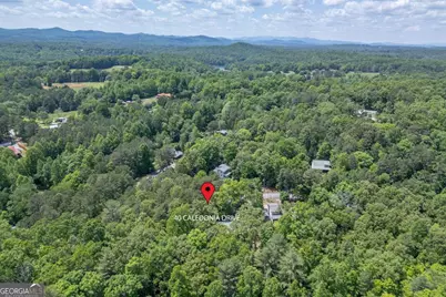 40 Caledonia Drive, Blairsville, GA 30512 - Photo 54