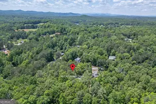 40 Caledonia Dr, Blairsville, GA 30512 - Photo 54