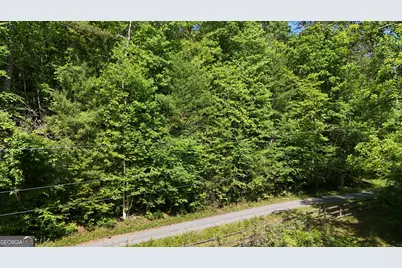 0 Gold Springs Road, Cherrylog, GA 30522 - Photo 10