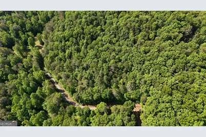 0 Gold Springs Road, Cherrylog, GA 30522 - Photo 8