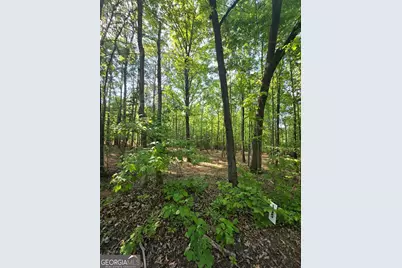 135 Lakeshore Drive, Eatonton, GA 31024 - Photo 4