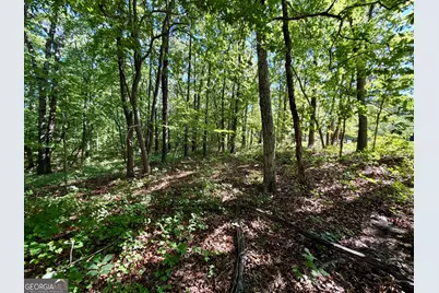 0 Leola Road, Douglasville, GA 30135 - Photo 12