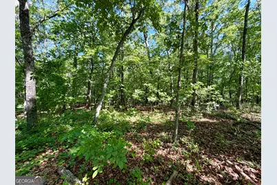 0 Leola Road, Douglasville, GA 30135 - Photo 10