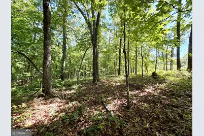 0 Leola Road, Douglasville, GA 30135 - Photo 8