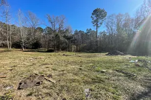 998 Campbell Rd, Meansville, GA 30256 - Photo 2