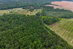 836 Kersey Rd, Perry, GA 31069 - Photo 58