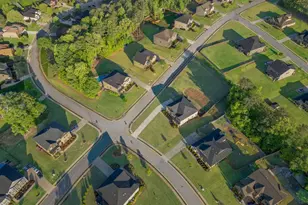 340 Mulberry Dr, Senoia, GA 30276 - Photo 10