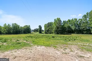 49 Frost Rd, Bowdon, GA 30108 - Photo 42