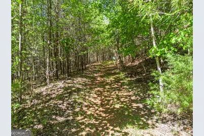 392 Oak Hills Drive, Morganton, GA 30560 - Photo 24