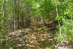 392 Oak Hills Dr, Morganton, GA 30560 - Photo 24