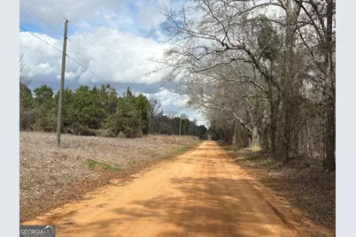 L2&amp;3 Keysville-Boggs Academy Road, Keysville, GA 30816 - Photo 6