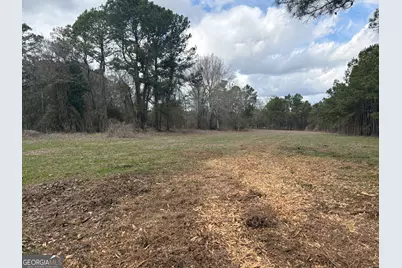 L2&amp;3 Keysville-Boggs Academy Road, Keysville, GA 30816 - Photo 2