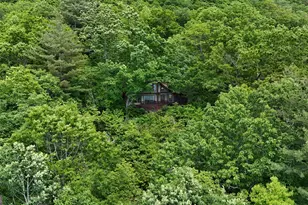 1491 Black Branch Rd, Rabun Gap, GA 30568 - Photo 62