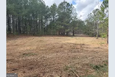 L2 Keysville-Boggs Academy Road, Keysville, GA 30816 - Photo 4
