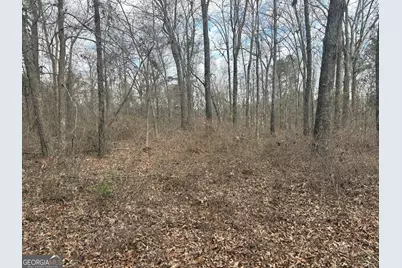 L8 Quaker Road, Keysville, GA 30816 - Photo 10