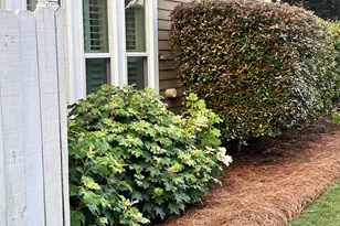 87 Sloan St, McDonough, GA 30253 - Photo 6