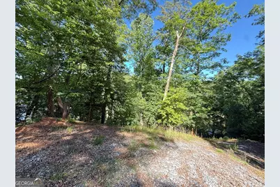0 Limber Lost Trail, Cleveland, GA 30528 - Photo 4
