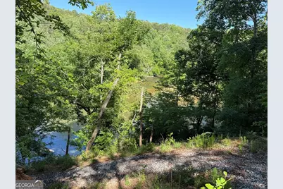 0 Limber Lost Trail, Cleveland, GA 30528 - Photo 10
