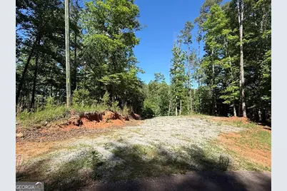 0 Limber Lost Trail, Cleveland, GA 30528 - Photo 22