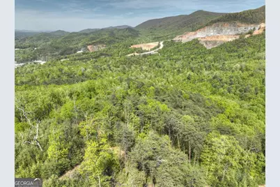 138.06Ac N Highway 515, Ellijay, GA 30540 - Photo 30