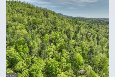 138.06Ac N Highway 515, Ellijay, GA 30540 - Photo 16