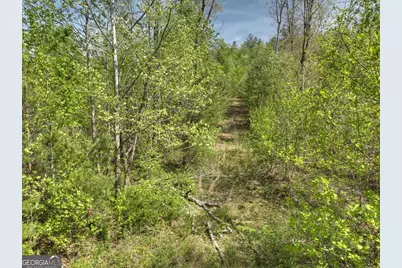 138.06Ac N Highway 515, Ellijay, GA 30540 - Photo 10