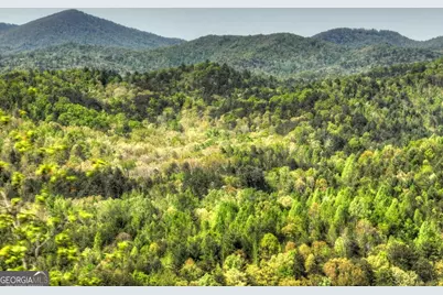 138.06Ac N Highway 515, Ellijay, GA 30540 - Photo 20