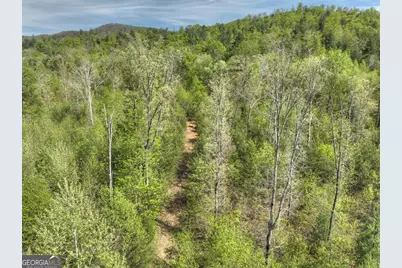 138.06Ac N Highway 515, Ellijay, GA 30540 - Photo 12