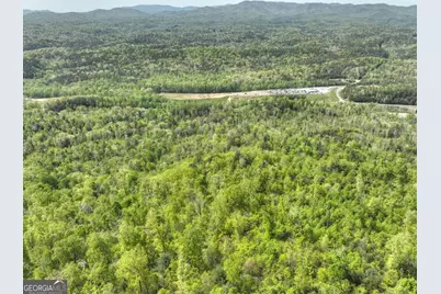 138.06Ac N Highway 515, Ellijay, GA 30540 - Photo 34