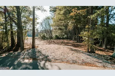 Tract 56 Lakeview Drive, Winterville, GA 30683 - Photo 16