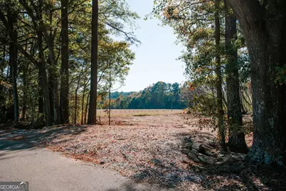Tract 56 Lakeview Drive, Winterville, GA 30683 - Photo 20