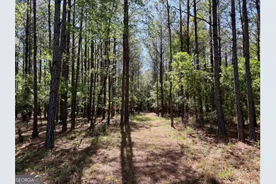 769 Mount Olive Church Road, Eastman, GA 31023 - Photo 58