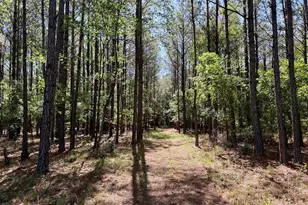 769 Mt Olive Church Rd, Eastman, GA 31023 - Photo 58