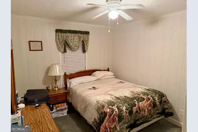 769 Mount Olive Church Road, Eastman, GA 31023 - Photo 50