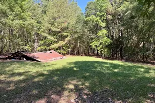 769 Mt Olive Church Rd, Eastman, GA 31023 - Photo 64