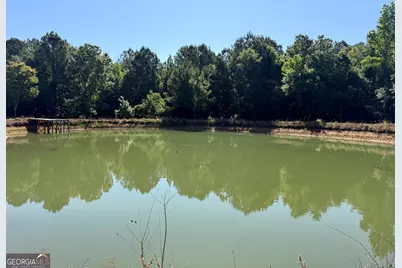 769 Mount Olive Church Road, Eastman, GA 31023 - Photo 12