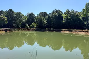 769 Mt Olive Church Rd, Eastman, GA 31023 - Photo 12